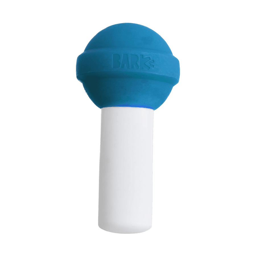 Blue Raspberry Lolli Pup