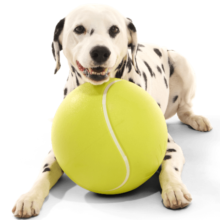 Chompianship Ball