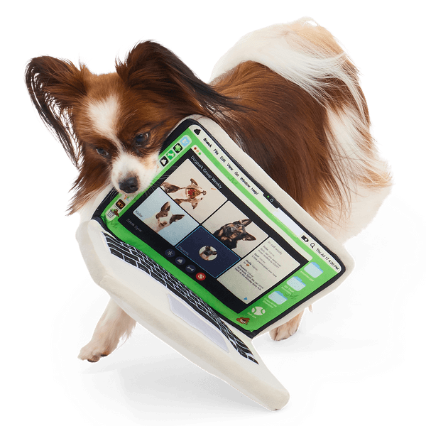 Snackbook Pro